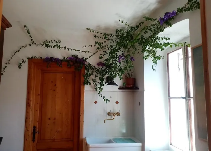 Affitta Explora Caffe Guest house Trieste