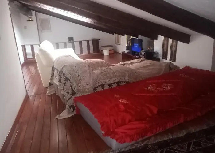 Affitta Explora Caffe * Trieste